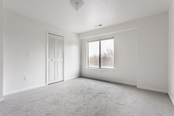 A white room with a carpeted floor, a door, and a window